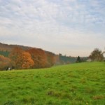 La Lun'Art - Grand gite - Prairie La Lun'Art - Grand gite - Prairie