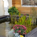 La Lun'Art - Le refuge du Poète - Bassin La Lun'Art - Le refuge du Poète - Bassin