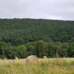 La Lun'Art - Grand gite - Vue prairie La Lun'Art - Grand gite - Vue prairie