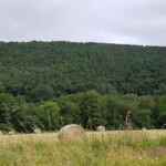 La Lun'Art - Grand gite - Vue prairie La Lun'Art - Grand gite - Vue prairie