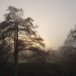 La Lun'Art - Grand gite - Vue boisée La Lun'Art - Grand gite - Vue boisée